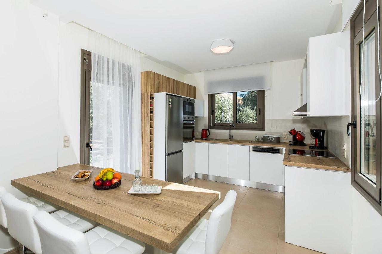 Villa Anemolia Лефкойя Экстерьер фото