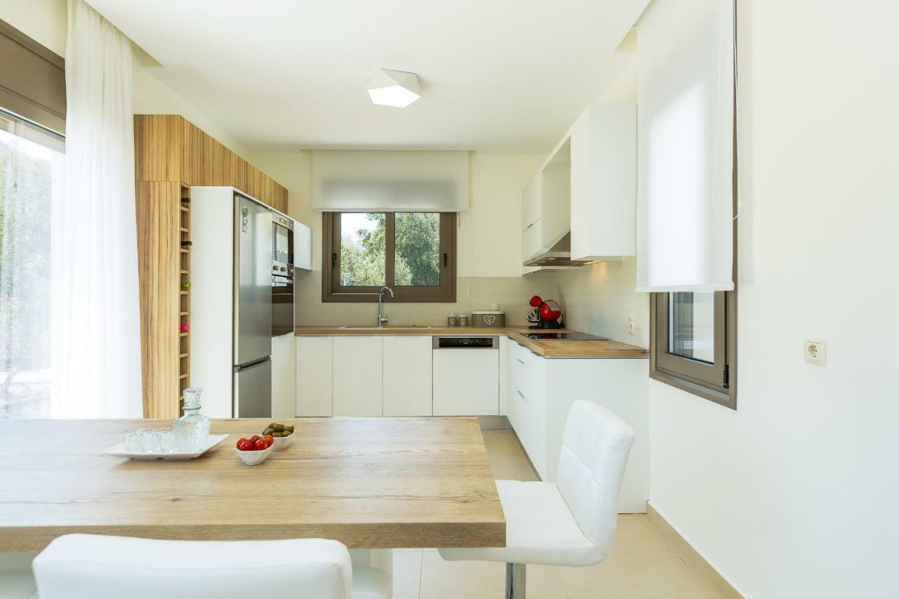 Villa Anemolia Лефкойя Экстерьер фото